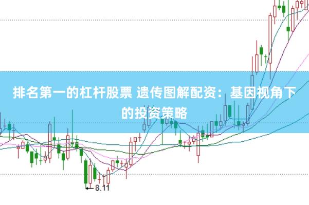 排名第一的杠杆股票 遗传图解配资：基因视角下的投资策略