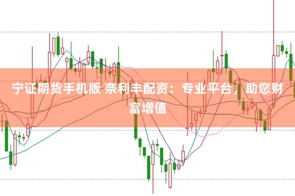 宁证期货手机版 奈利丰配资：专业平台，助您财富增值