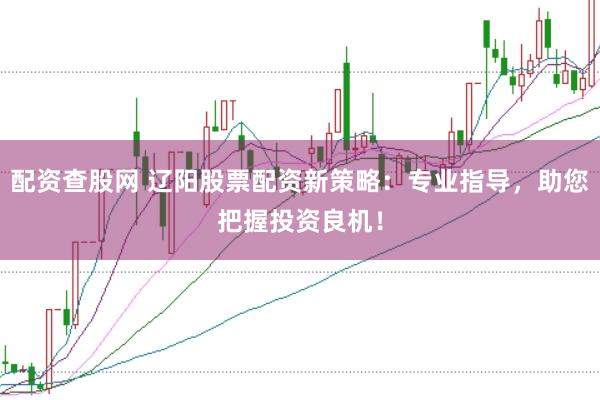 配资查股网 辽阳股票配资新策略：专业指导，助您把握投资良机！