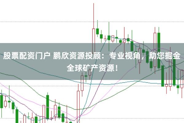 股票配资门户 鹏欣资源投顾：专业视角，助您掘金全球矿产资源！
