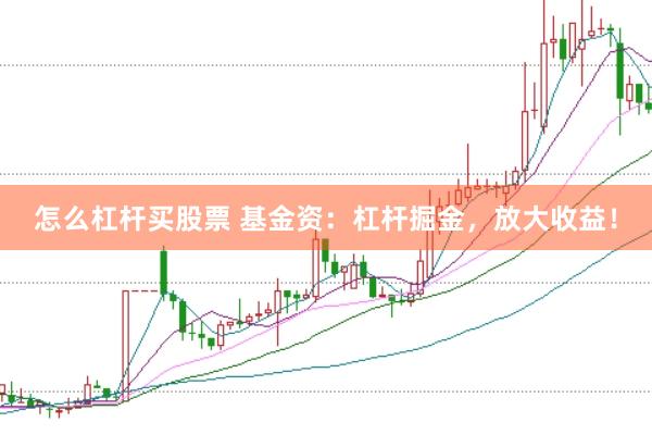 怎么杠杆买股票 基金资：杠杆掘金，放大收益！