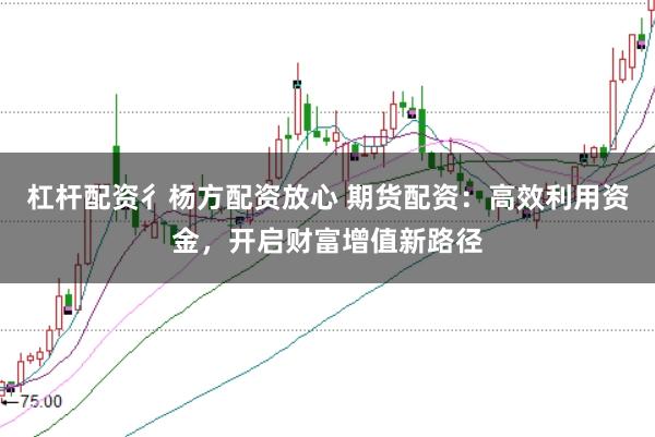 杠杆配资彳杨方配资放心 期货配资：高效利用资金，开启财富增值新路径