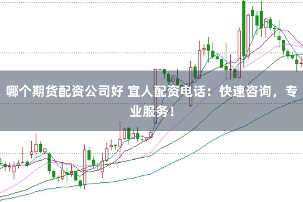 哪个期货配资公司好 宜人配资电话：快速咨询，专业服务！