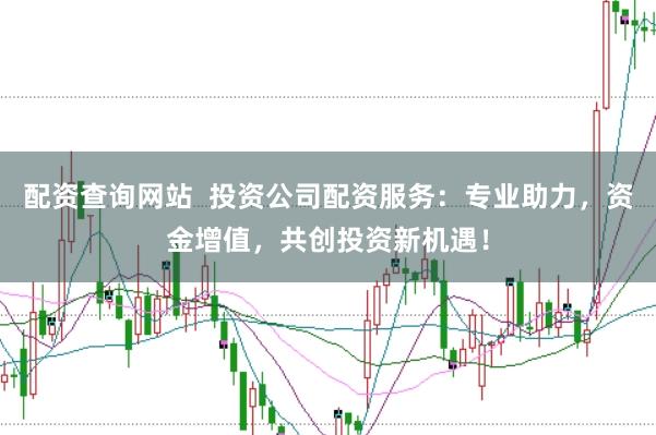 配资查询网站  投资公司配资服务：专业助力，资金增值，共创投资新机遇！