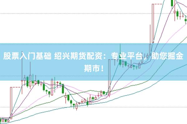 股票入门基础 绍兴期货配资：专业平台，助您掘金期市！