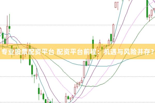 专业股票配资平台 配资平台前程：机遇与风险并存？