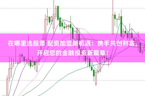 在哪里选股票 配资加盟新机遇：携手共创财富，开启您的金融投资新篇章！