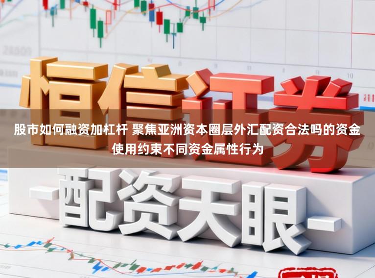 股市如何融资加杠杆 聚焦亚洲资本圈层外汇配资合法吗的资金使用约束不同资金属性行为