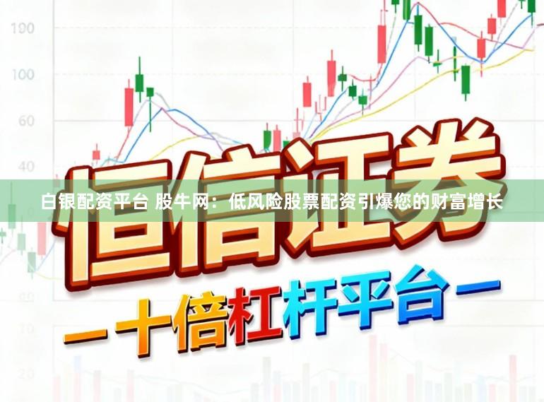白银配资平台 股牛网：低风险股票配资引爆您的财富增长